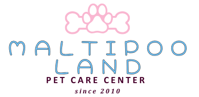 maltipoo-land.com